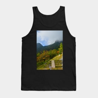 Autumn on the Slopes of Mangrt Tank Top